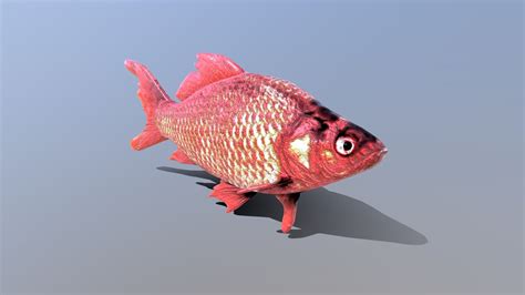 Fish Free 3D Models download .